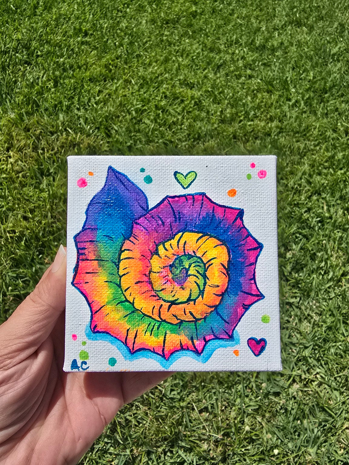 Hand-Painted 4x4 Canvas – Rainbow Spiral Shell